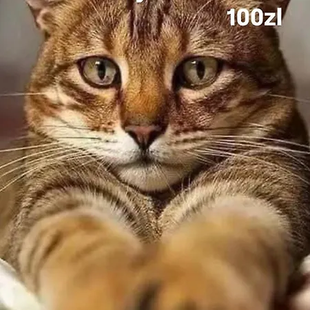 Apartamento Cityaparthome6 Centrum Parking